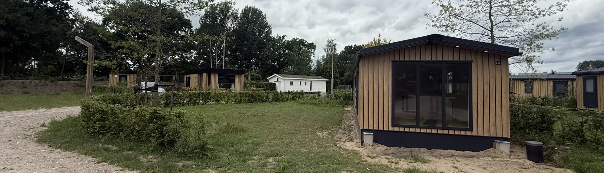 Zwaan-06 VERKOCHT